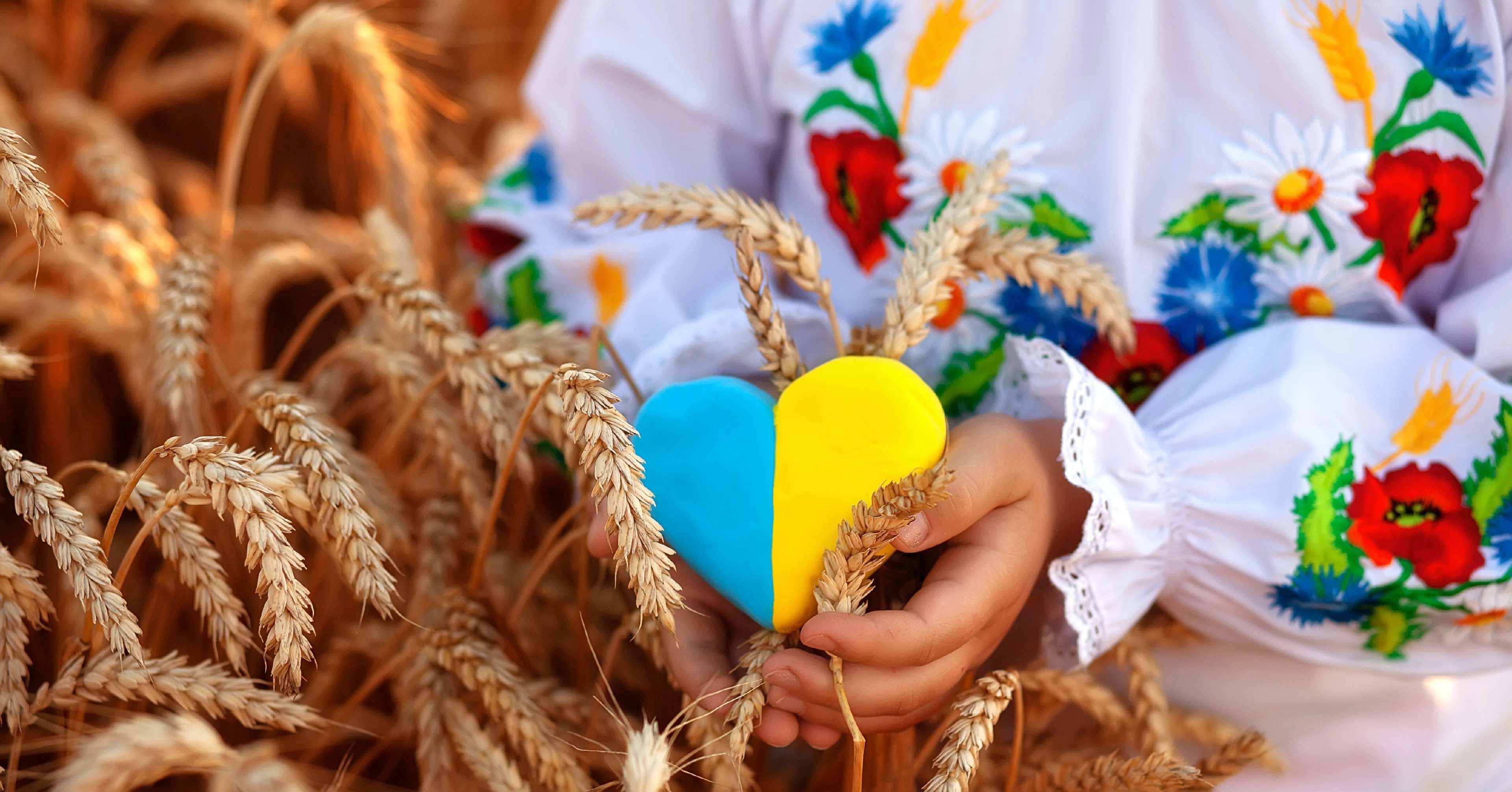 Mewa ayuda a Ucrania
