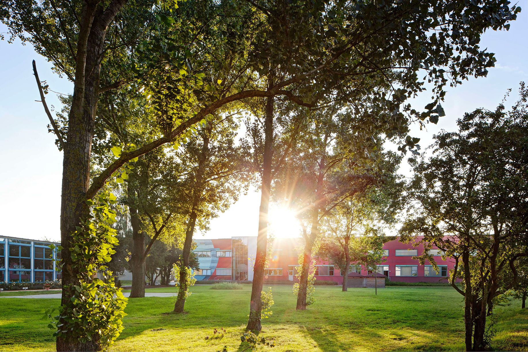 Mewa Österreich wieder als „Nachhaltiges Unternehmen“ ausgezeichnet