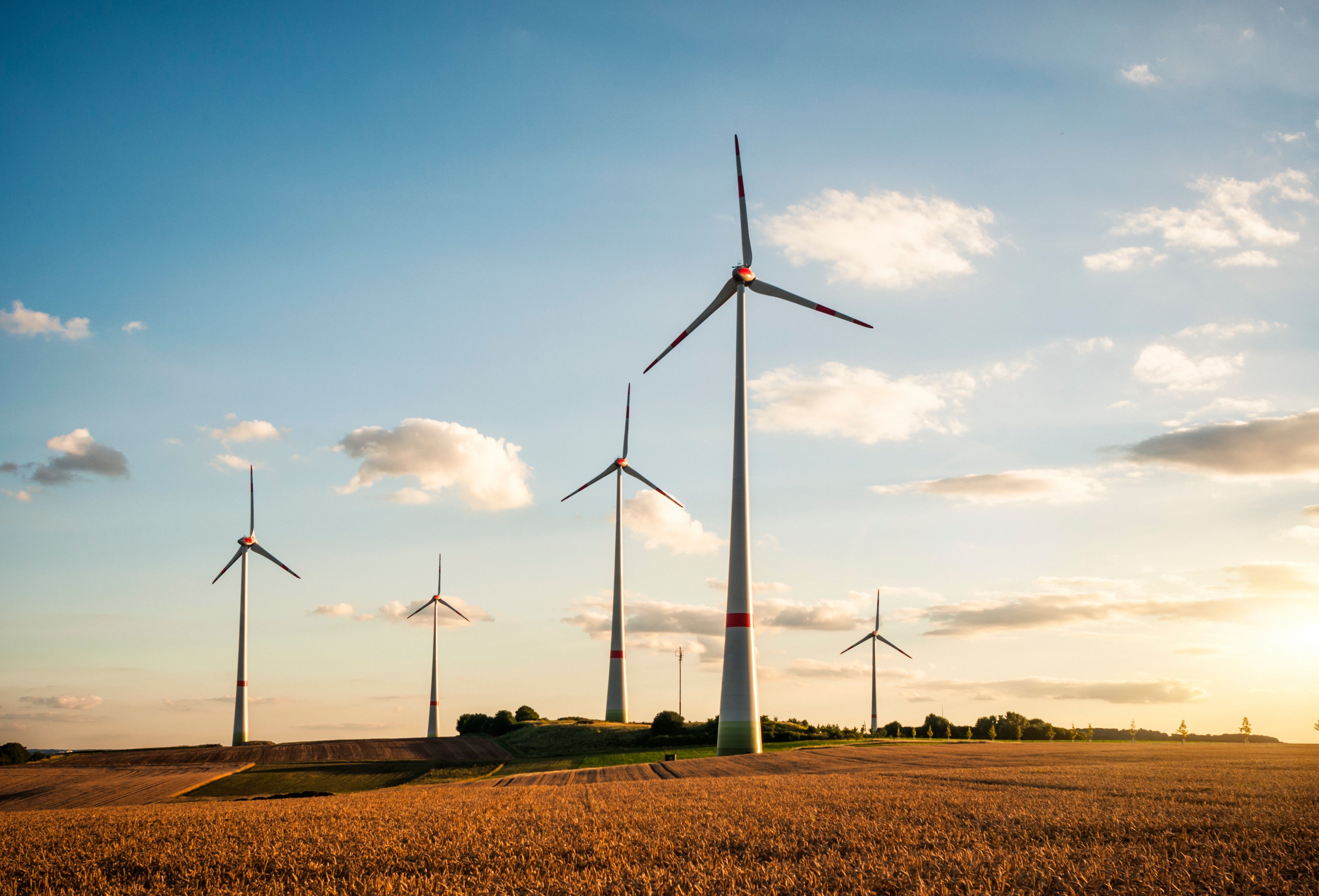 Betrieblicher Klimaschutz mit System