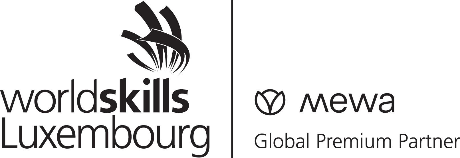 Logo du partenariat premium (Visuel : WSL/Mewa)